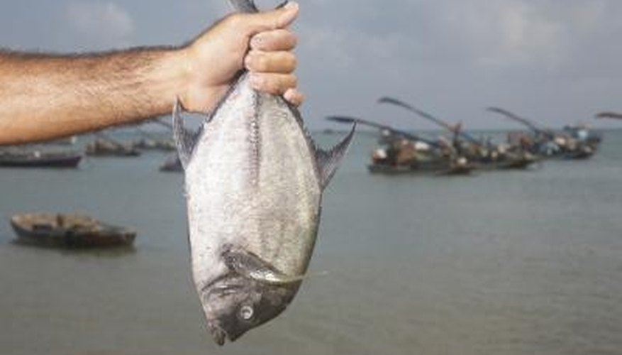 How to Make a Pompano Rig