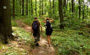 How to Build Wooden Steps Into a Trail