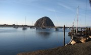 Regulations on Rock Crab Fishing in California