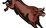 How to Tan Cow Hides