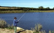 Places to Go Fishing in Peterborough, Ontario, Canada
