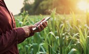 What Are Farm Settlements?