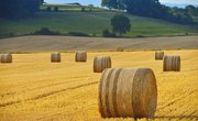 The Difference Between a Bale and a Roll of Hay