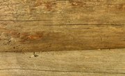 How to Finish Tiger Maple Gun Stocks