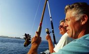 Is the Best Time to Fish Low or High Tide?