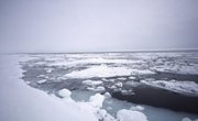 What to Wear for a Polar Plunge