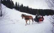 The Difference Between a Cutter & a Sleigh