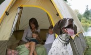 Campgrounds First Come First Serve in California