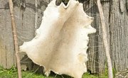 How to Tan Deer Skin While Leaving the Hair On