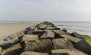 Cool Things to Do in New York City Near JFK Airport