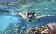 Snorkeling at Sanibel Island, Florida