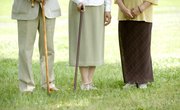 What Type of Wood Makes the Strongest Walking Sticks?