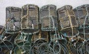 How to Make a Bluegill Trap