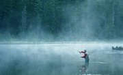 How to Fish With a Little Cleo