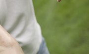 Does Insect Repellent Expire?