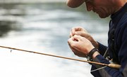 Six Different Types of Bait Used for Fishing