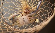 How to Build a Crab Pot Puller