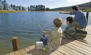 How to Use Berkley Gulp Alive Minnows