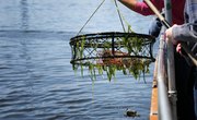 Crab Fishing in North Carolina