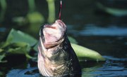 Fishing Spots Close to Columbus, Ohio