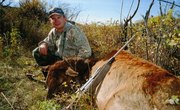 How to Gut an Elk
