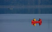 Illinois Fishing License Fee