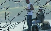 Homemade Fish Attractant With Garlic