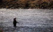 Fishing Guide for Washougal, Washington