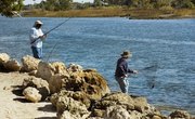How to Fish for Salmon on the Sacramento River
