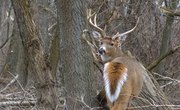 Building Deer Blind With PVC