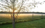 Cheap Hunting Packages in Texas