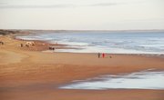 Beach Paddle Ball Rules