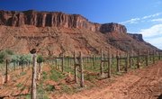 RV Campgrounds Near Four Corners