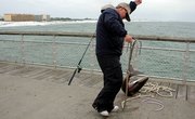 What are the Fines for Fishing Without a License in Florida?