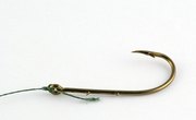 How to Rig the Bait to the Hook Using Frozen Anchovies