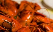 Lobster Fishing in Washington