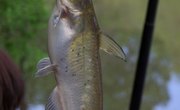 How to Make PVC Catfish Poles
