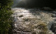 How to Net Fish in a River