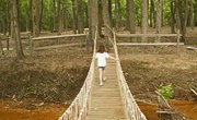 How to Tie Knots to Build a Rope Bridge