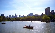 Which Forms Do I Need to Transfer a Boat in Texas?