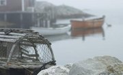 How to Tie a Buoy Knot