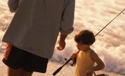 How to Keep Sand Fleas Alive
