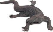 How to Tan Alligator Hides at Home