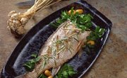 How to Raise Tilapia in Drums
