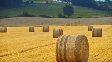 The Difference Between a Bale and a Roll of Hay