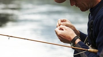 Six Different Types of Bait Used for Fishing