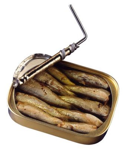 Homemade Fish Scents for Plastics