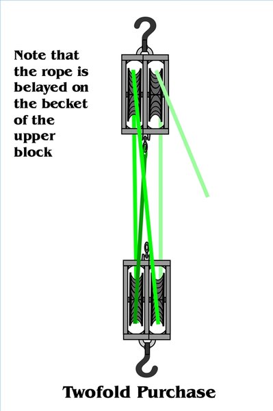 Step 7