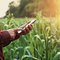 What Are Farm Settlements?