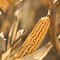 What Is Deer Corn?